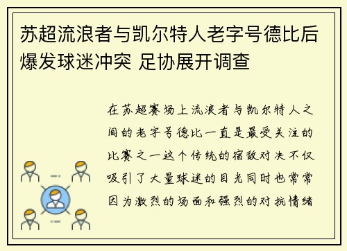 苏超流浪者与凯尔特人老字号德比后爆发球迷冲突 足协展开调查 苏超流浪者与凯尔特人老字号德比后爆发球迷冲突 足协展开调查