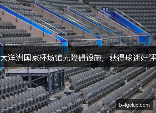 大洋洲国家杯场馆无障碍设施,获得球迷好评 大洋洲国家杯场馆无障碍设施,获得球迷好评